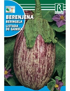 BERENJENA LISTADA DE GANDIA 3g
