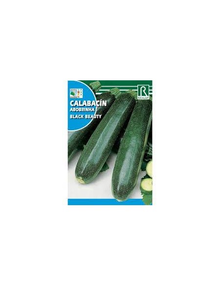 CALABACÍN BLACK BEAUTY 100g
