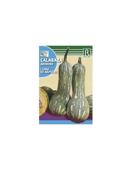 CALABAZA LLENA DE NAPOLES 3g