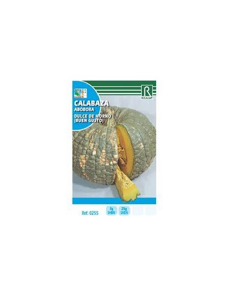 25 Semi Di Zucca Dolce Queensland Azul &ndash; Variet&agrave; Jarrahdale, Ideale Per Cucina