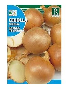 CEBOLLA BABOSA TEMPRANA 4g