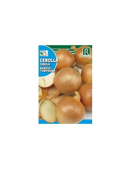 CEBOLLA BABOSA TEMPRANA 4g