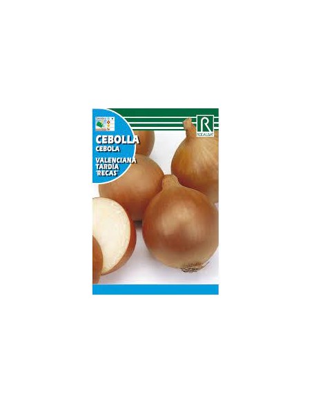 CEBOLLA VALENCIANA TARDIA 4g