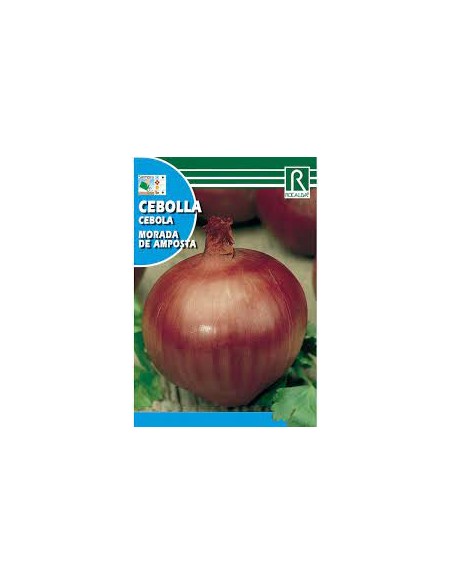 CEBOLLA MORADA 4g