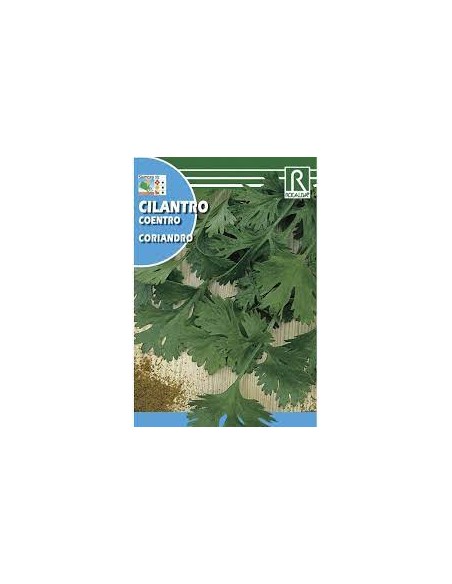 CILANTRO 25g