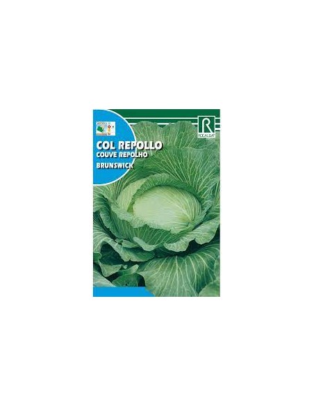 COL REPOLLO BRUNSWICK 8g