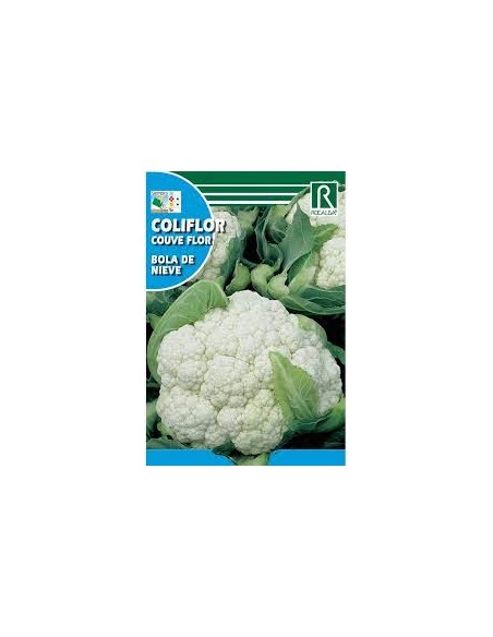 COLIFLOR BOLA DE NIEVE 3g