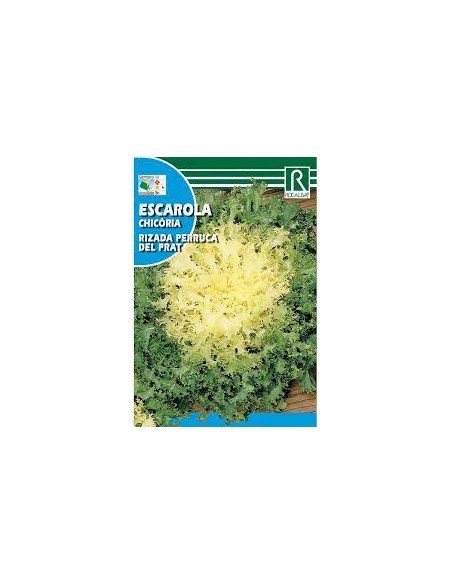 ESCAROLA RIZADA PERRUCA 6g