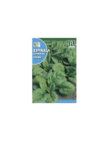 ESPINACA VIKING 250g