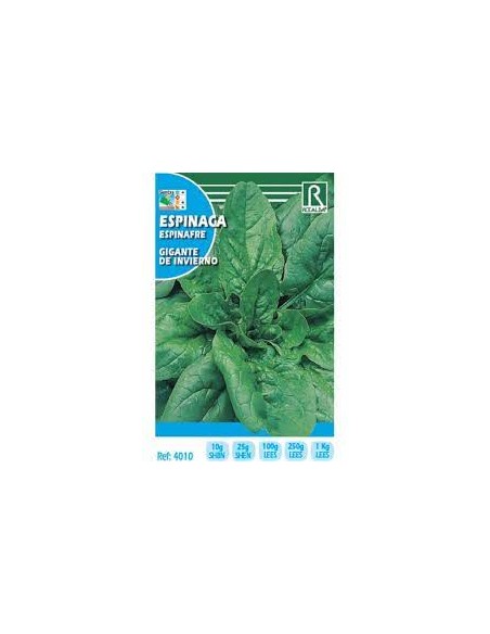 ESPINACA GIGANTE DE INVIERNO 10g