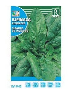 ESPINACA GIGANTE DE INVIERNO 1K