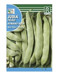 JUDÍA ROMANO BUSH 50g