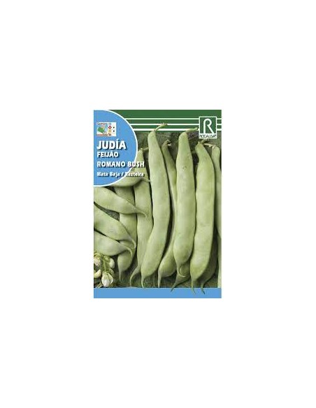 JUDÍA ROMANO BUSH 250g