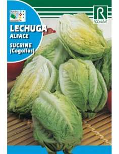 LECHUGA SUCRINE (COGOLLOS) 3g