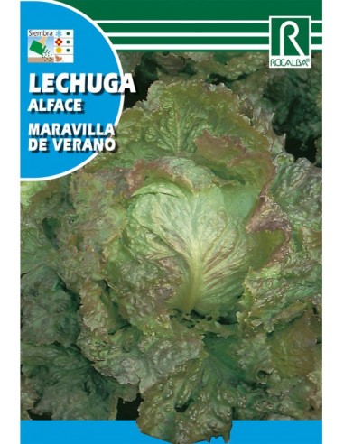 LECHUGA MARAVILLA DE VERANO 3g