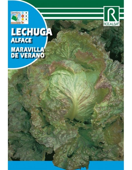 LECHUGA MARAVILLA DE VERANO 3g
