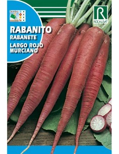 RABANITO LARGO MURCIANO 10g