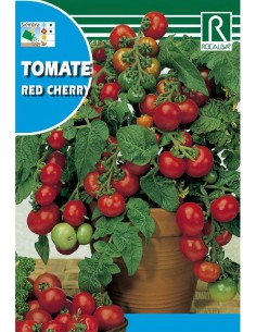 TOMATE RED CHERRY 1g