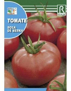 TOMATE ROSA DE BERNA 0,1g