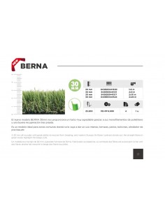 CESPED BERNA 30mm (2x5m) 2