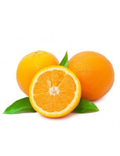 NARANJO MACETA C25 2